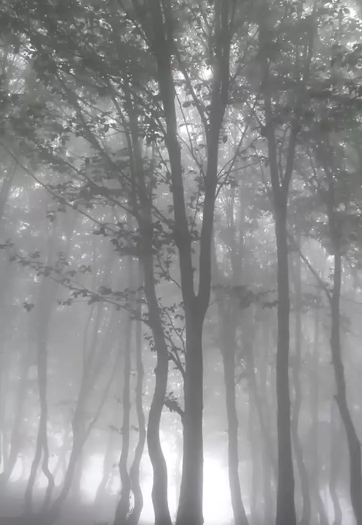 یک قطعه زمین مسکونی