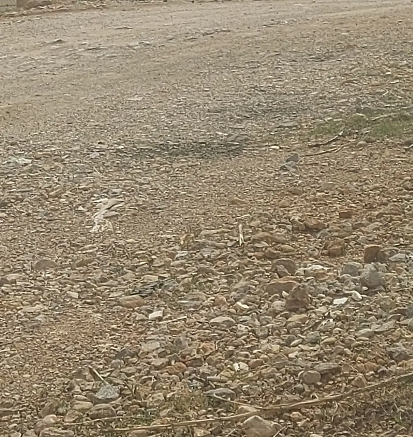 زمین مسکونی ۲۸۵ متر