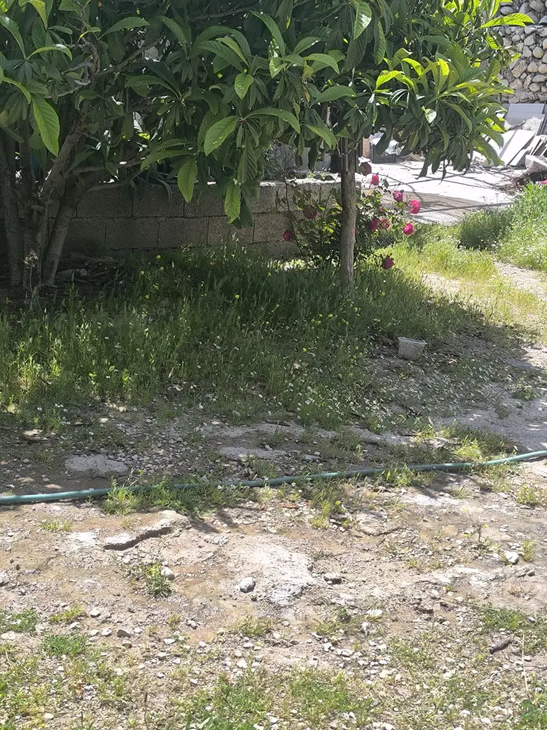 فروش زمین مسکونی کوه چنار