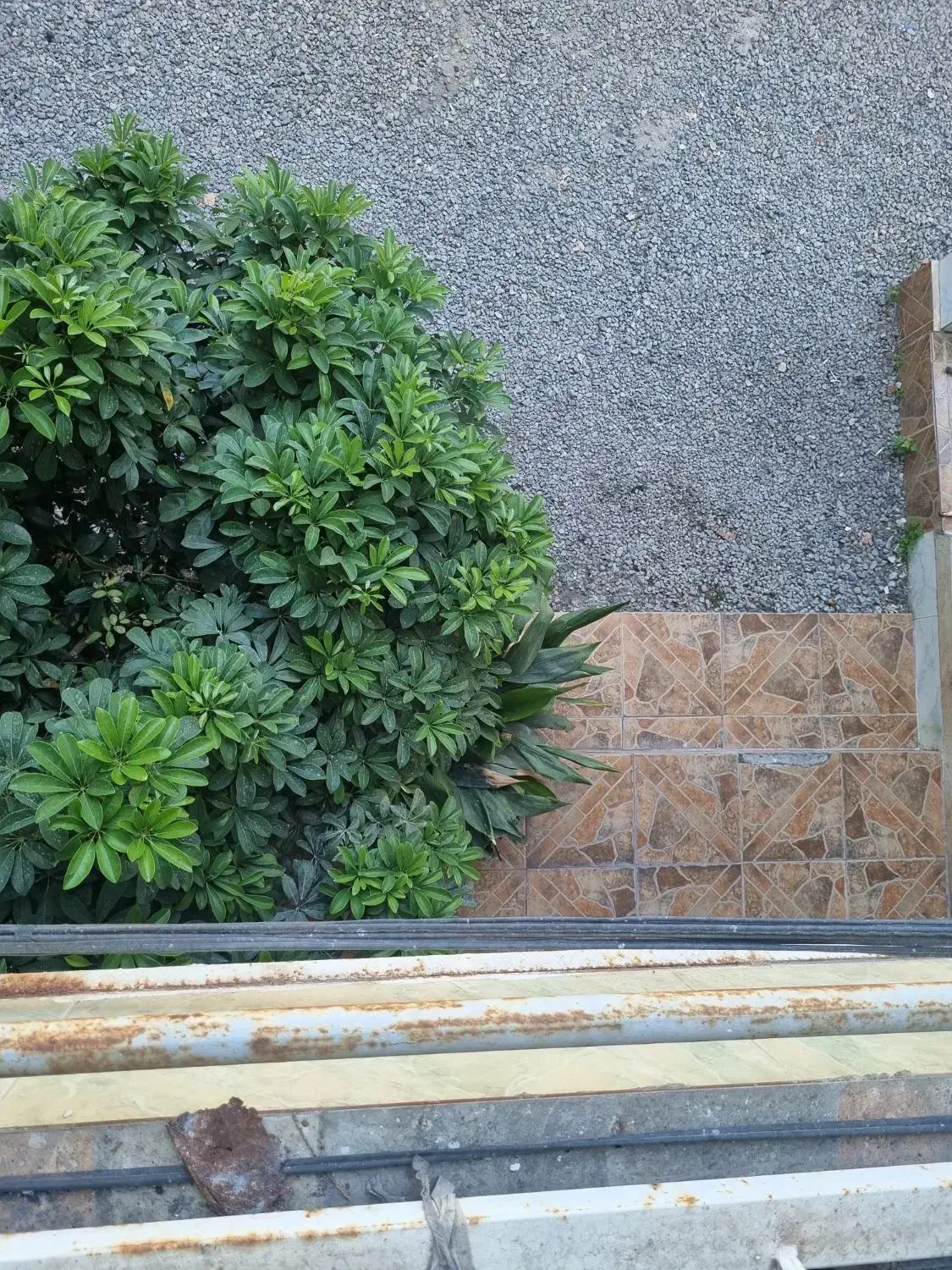 فروش زمین ۲۷۵متری در ۵۵ هکتاری