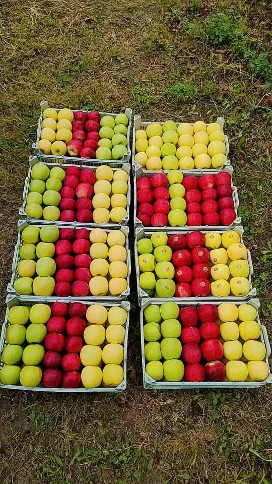 باغچه ی الوان مخصوص خانواده