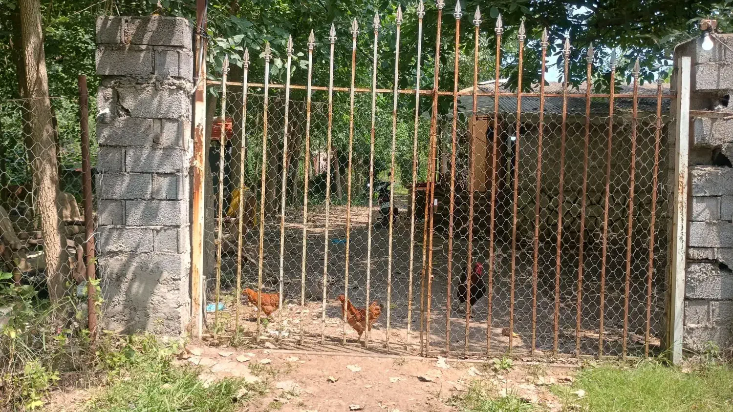 زمین مسکونی ۱۱۴۰ متر