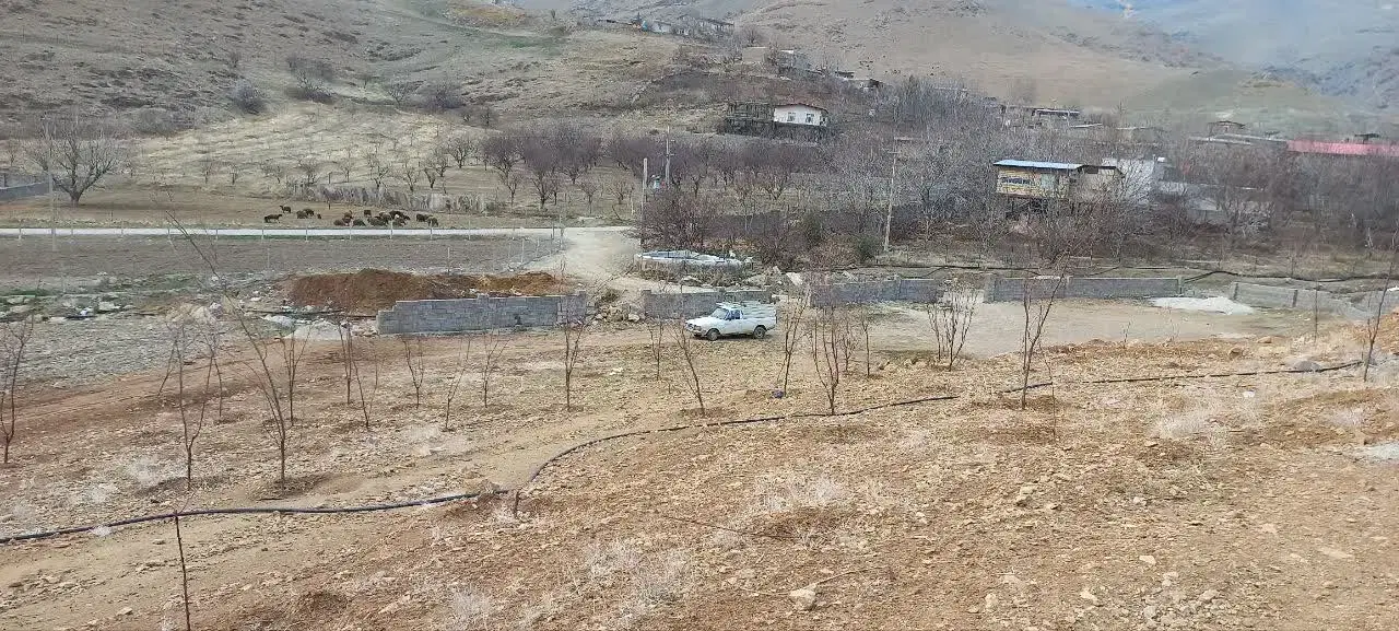 زمین باغی ویلای روستای بابا محمد