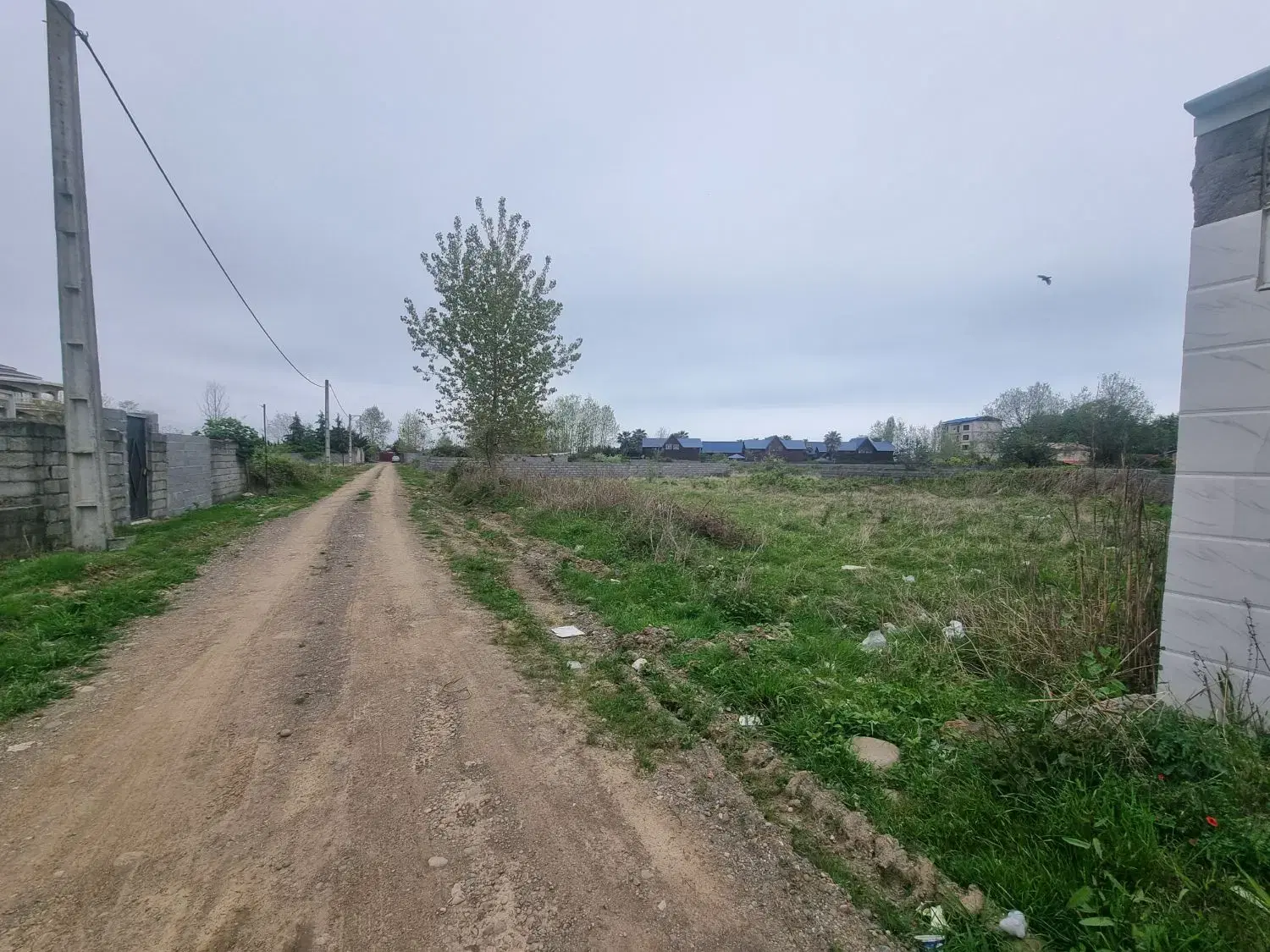 زمین ۶۰۰ متری سنددار ساحلی در کلاچای
