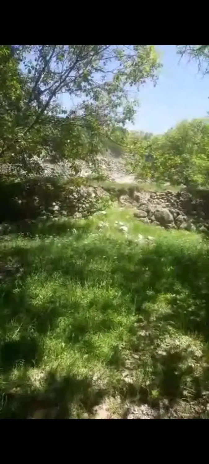 باغ در کهنمو با درختان میوه گردو زردآلو ۱۰۰ ساله
