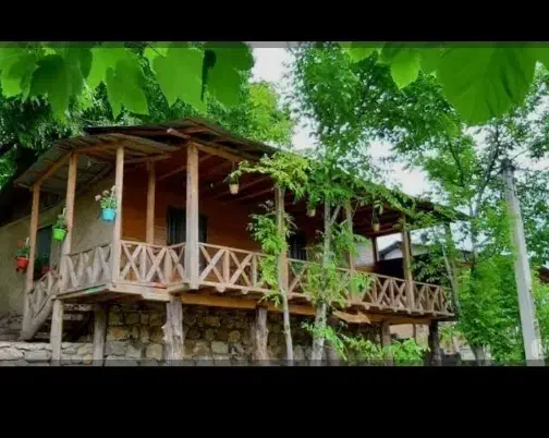میان سکوت سبز، زندگی را دوباره شروع کن