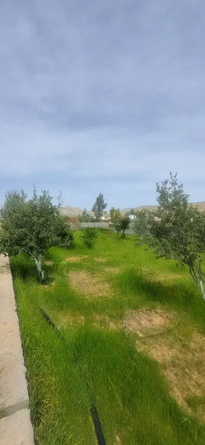 باغ فروشی