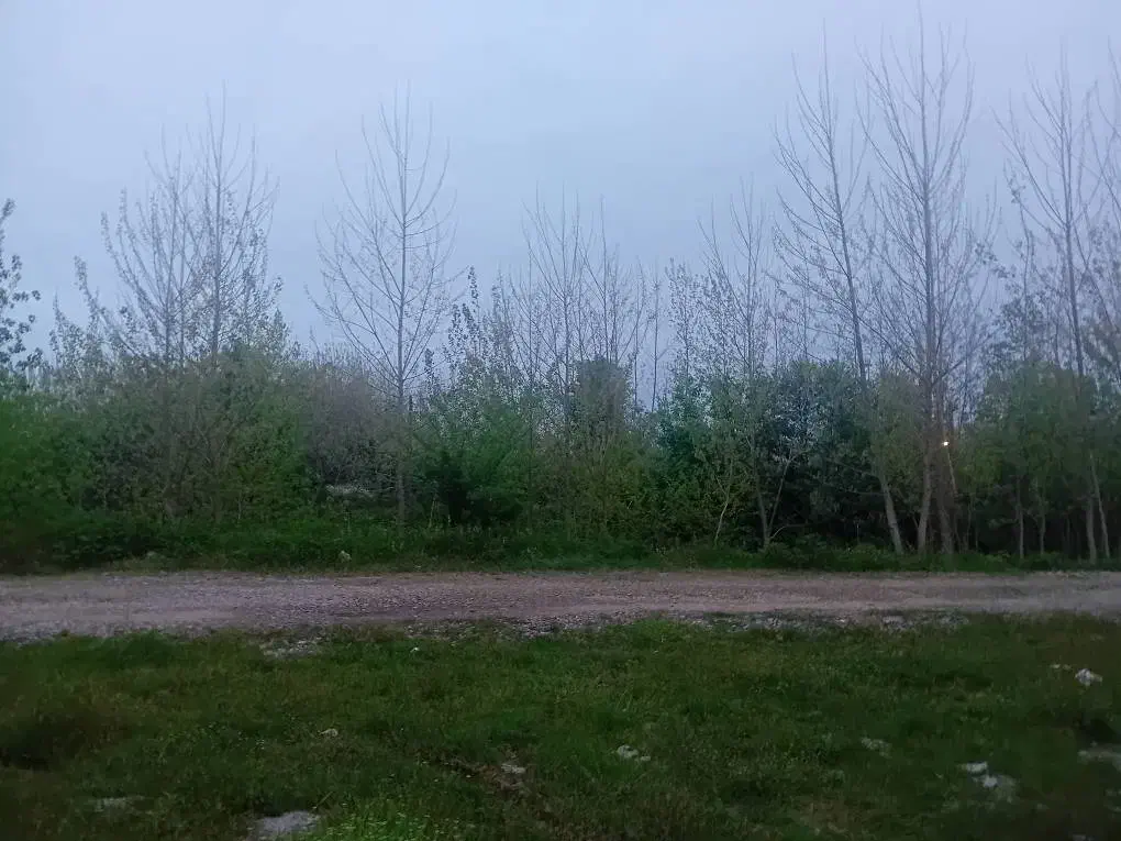 زمین ویلایی جهت سرمایه گذاری