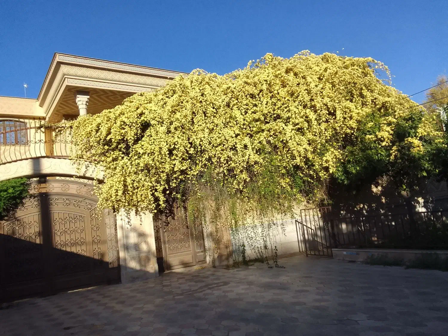 اجاره ویلایی