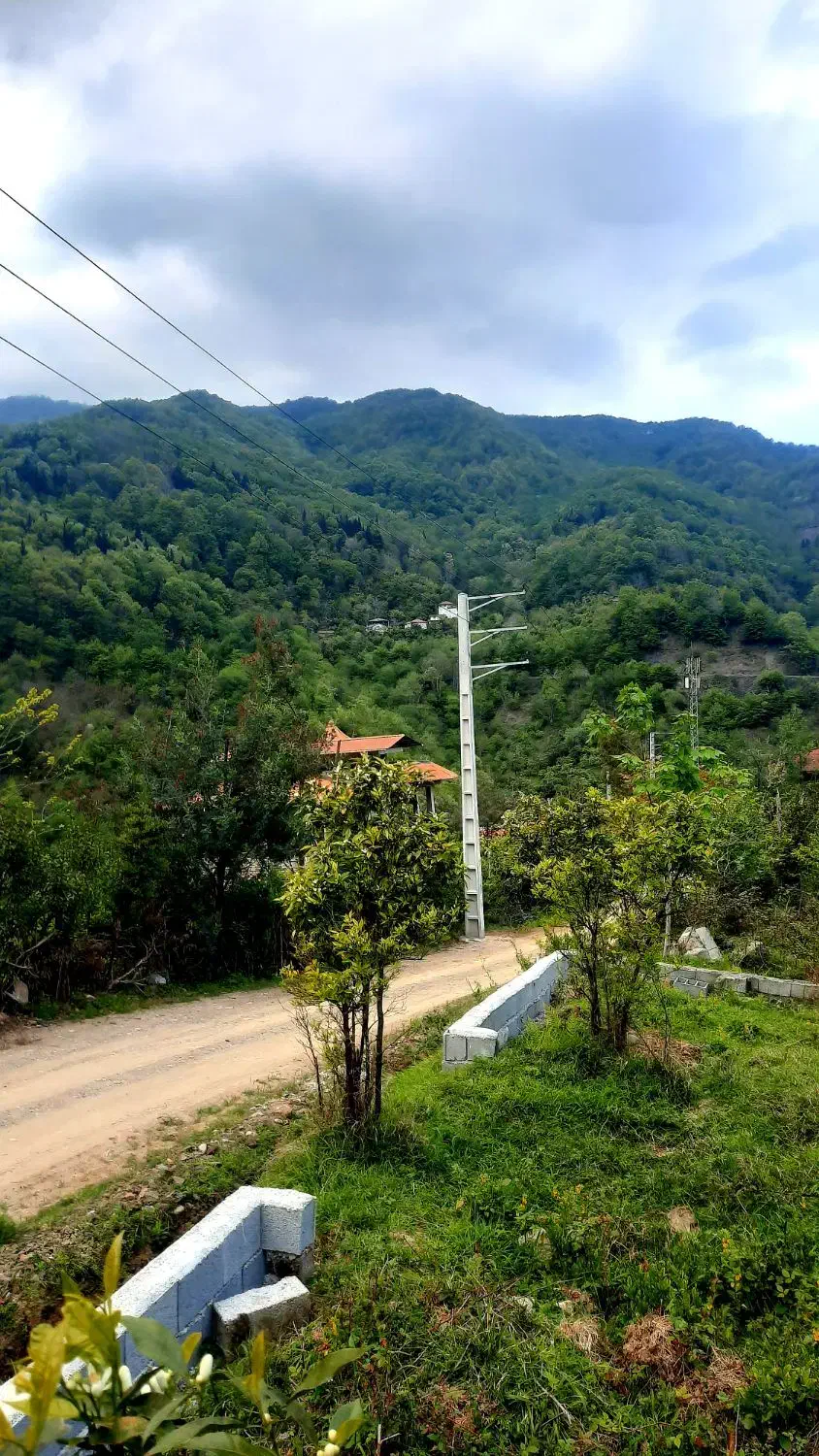 زمین مسکونی سند شش دانگ رامسر