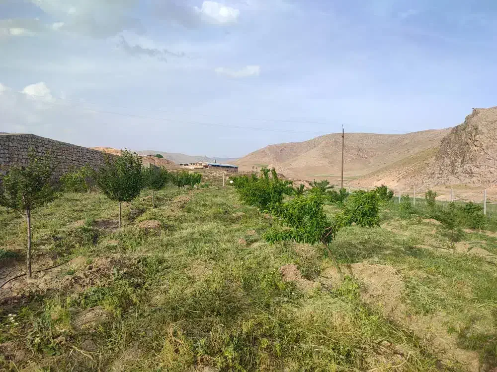 باغ و باغچه نزدیک شهر