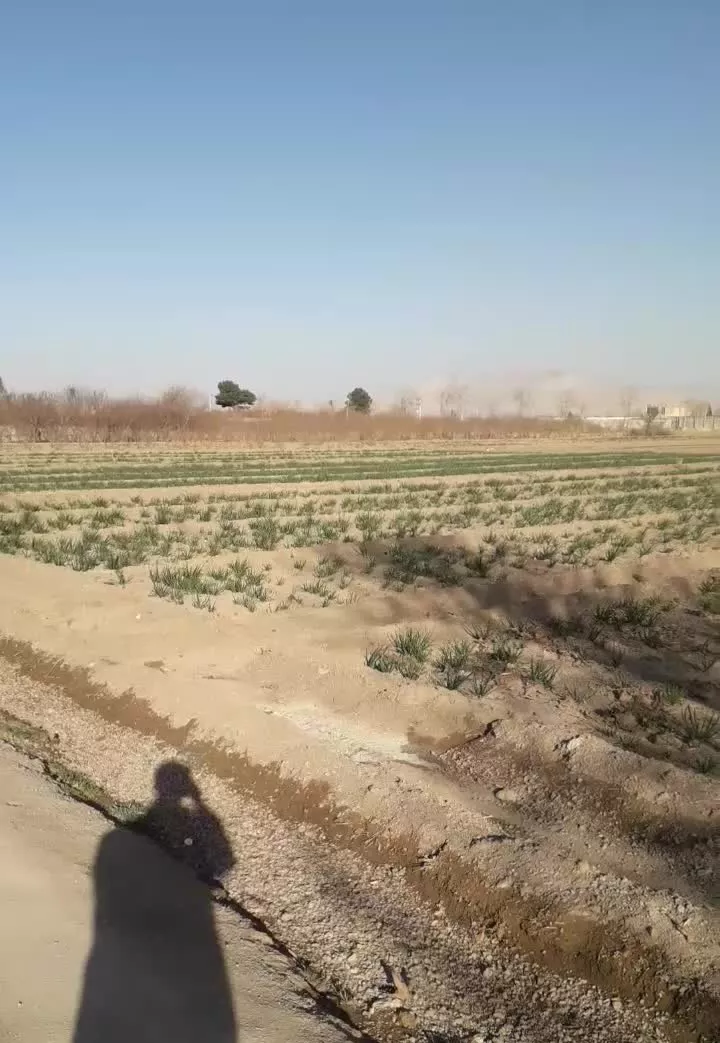 زمین باغی مکان فوق العاده عالی فولادشهر