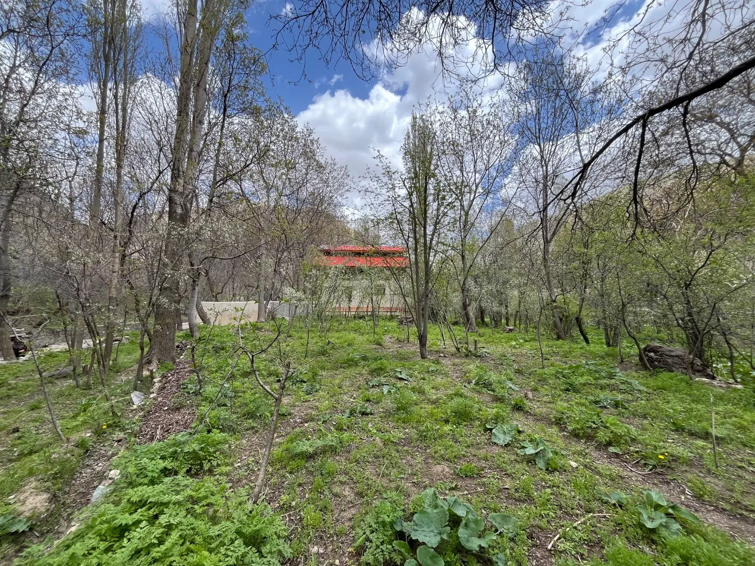 باغ روستای دروان
