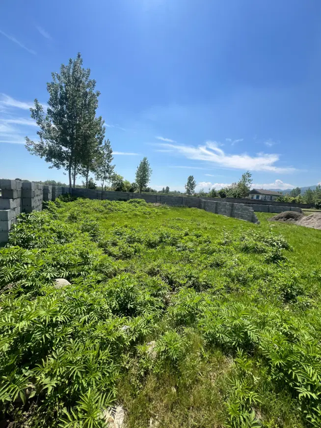 زمین روستایی ۳۳۰ متر با پروانه ۹۹ متری