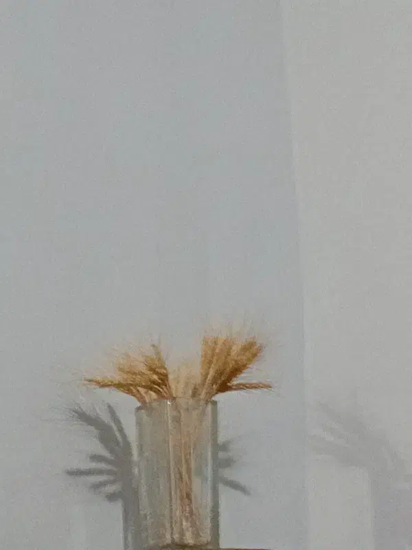 مغازه فعال