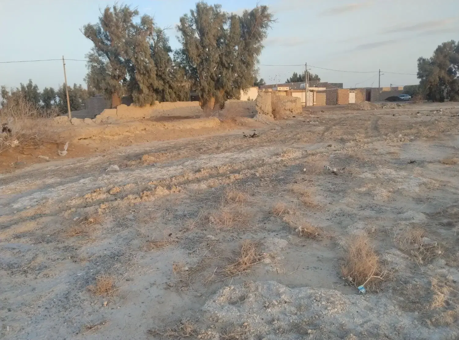 زمین