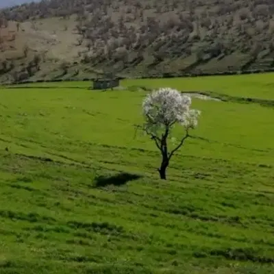 زمین مستثنیات کارگاهی