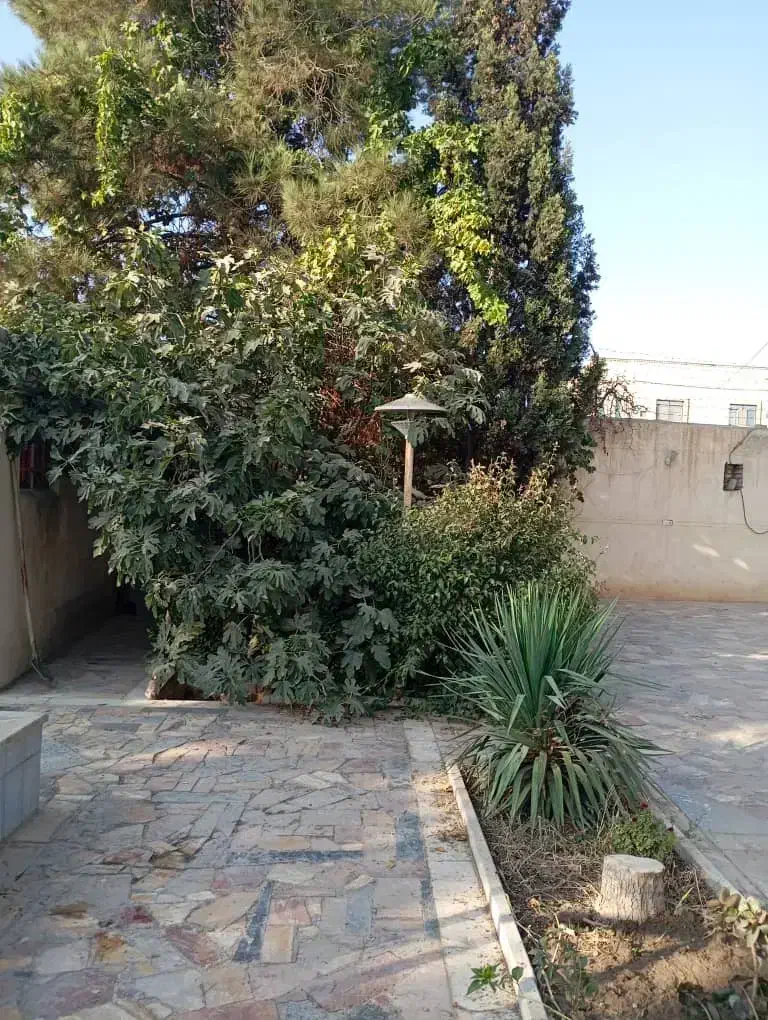 باغ ویلا