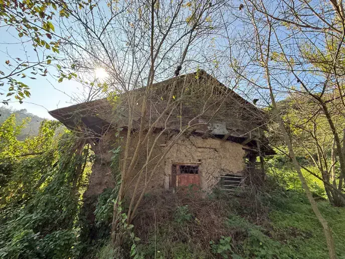 زمین باغی ۲هکتاری
