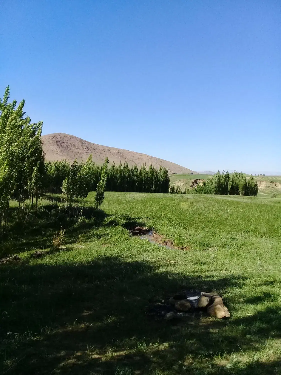 فروش ۱۳۰۰متر زمین واقع در روستای نصرت آباد