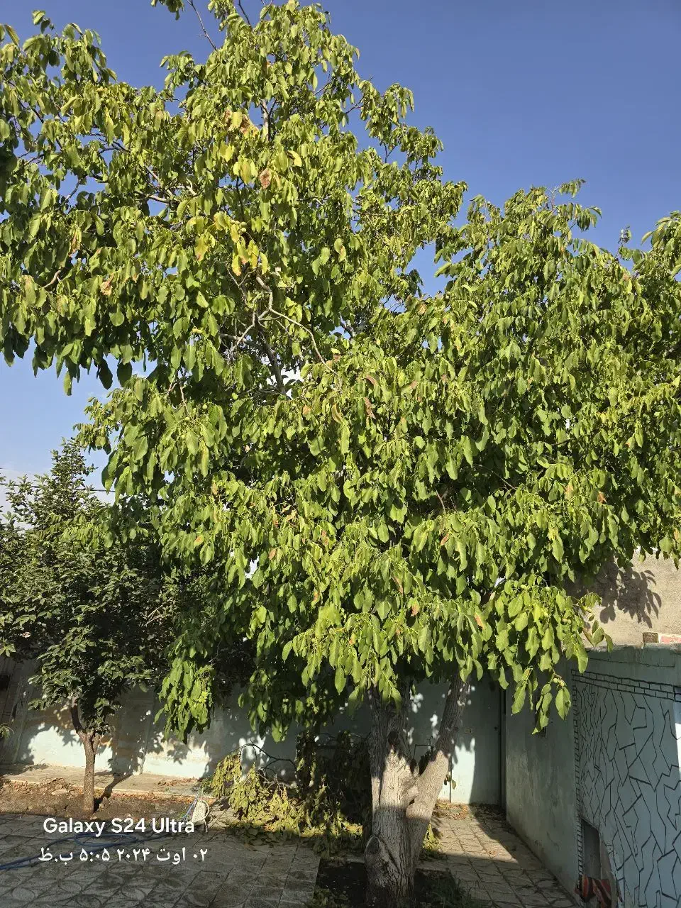 ویلایی ۳۵۰ متری چم اسمان