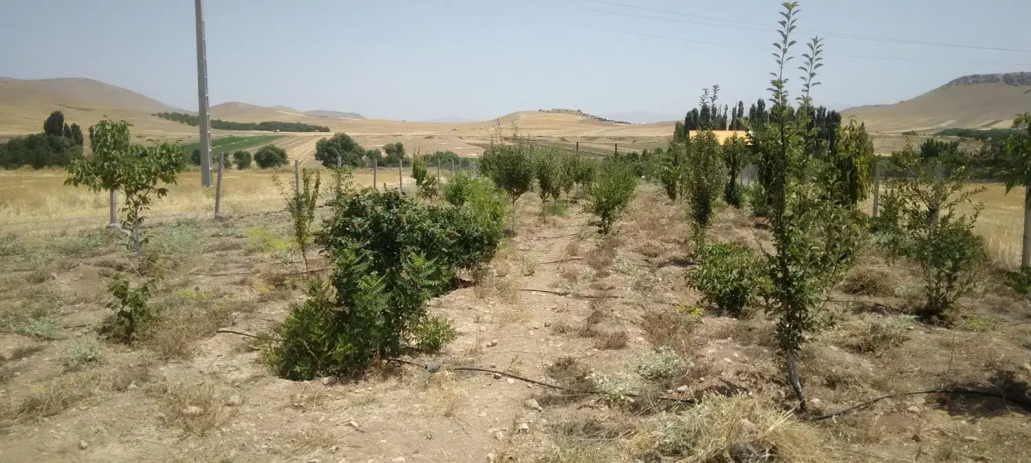 فروش باغ اکبراباد