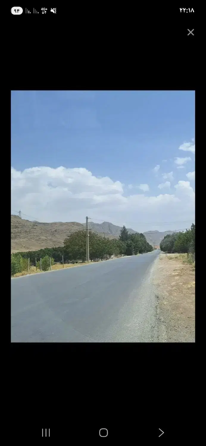 دامداری