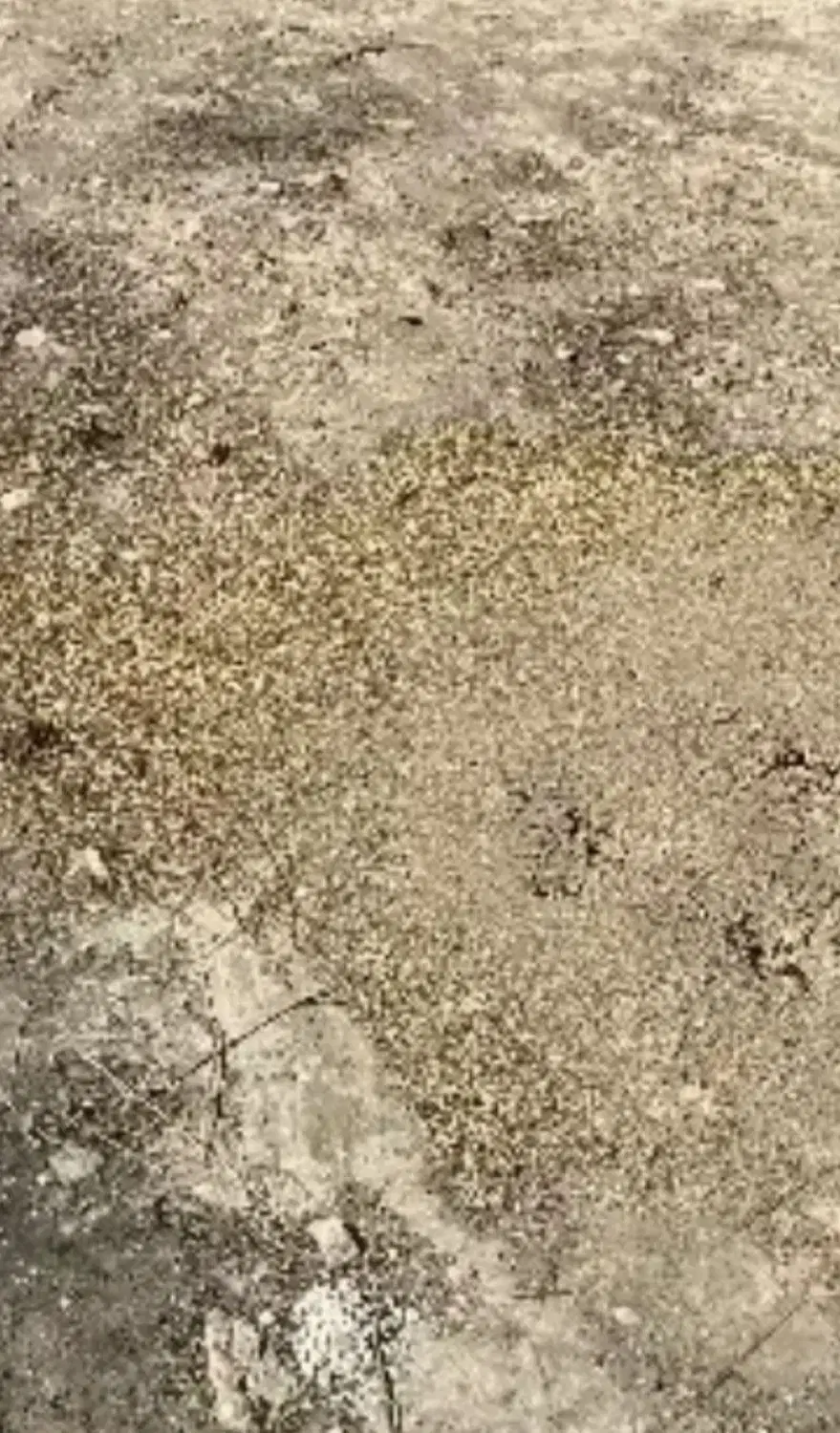 ۲۲۰مترزمین مسکونی واقع درروستای مزرعچه