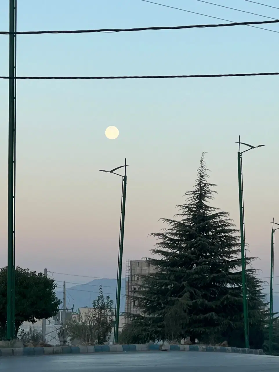 فروش تجاری بر جاده اصلی ۵۶ متر