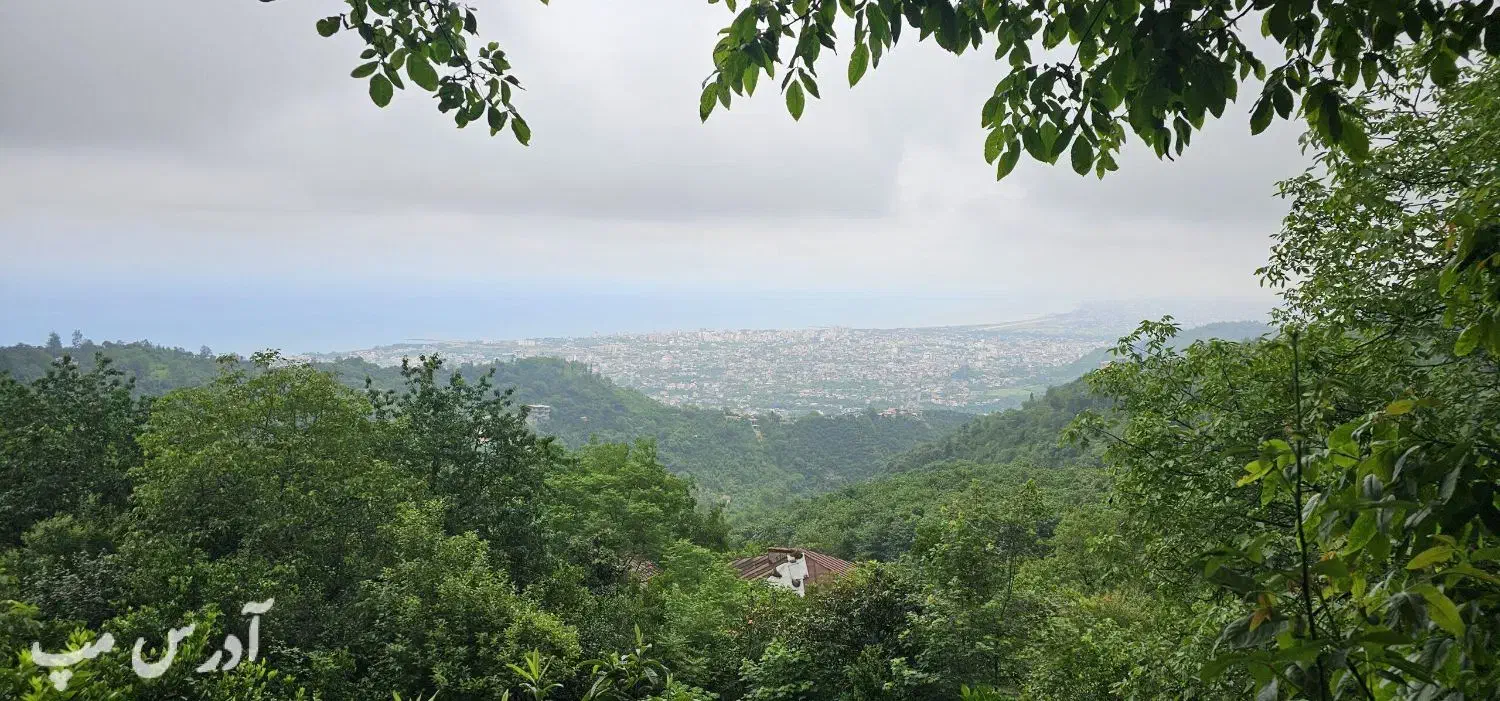 زمین باغات پتک