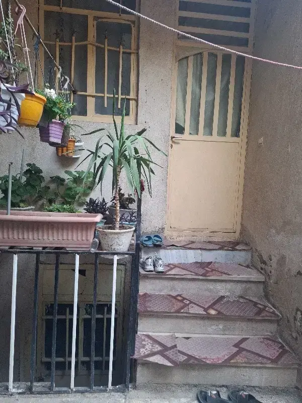 واحد ۵۰ متری
