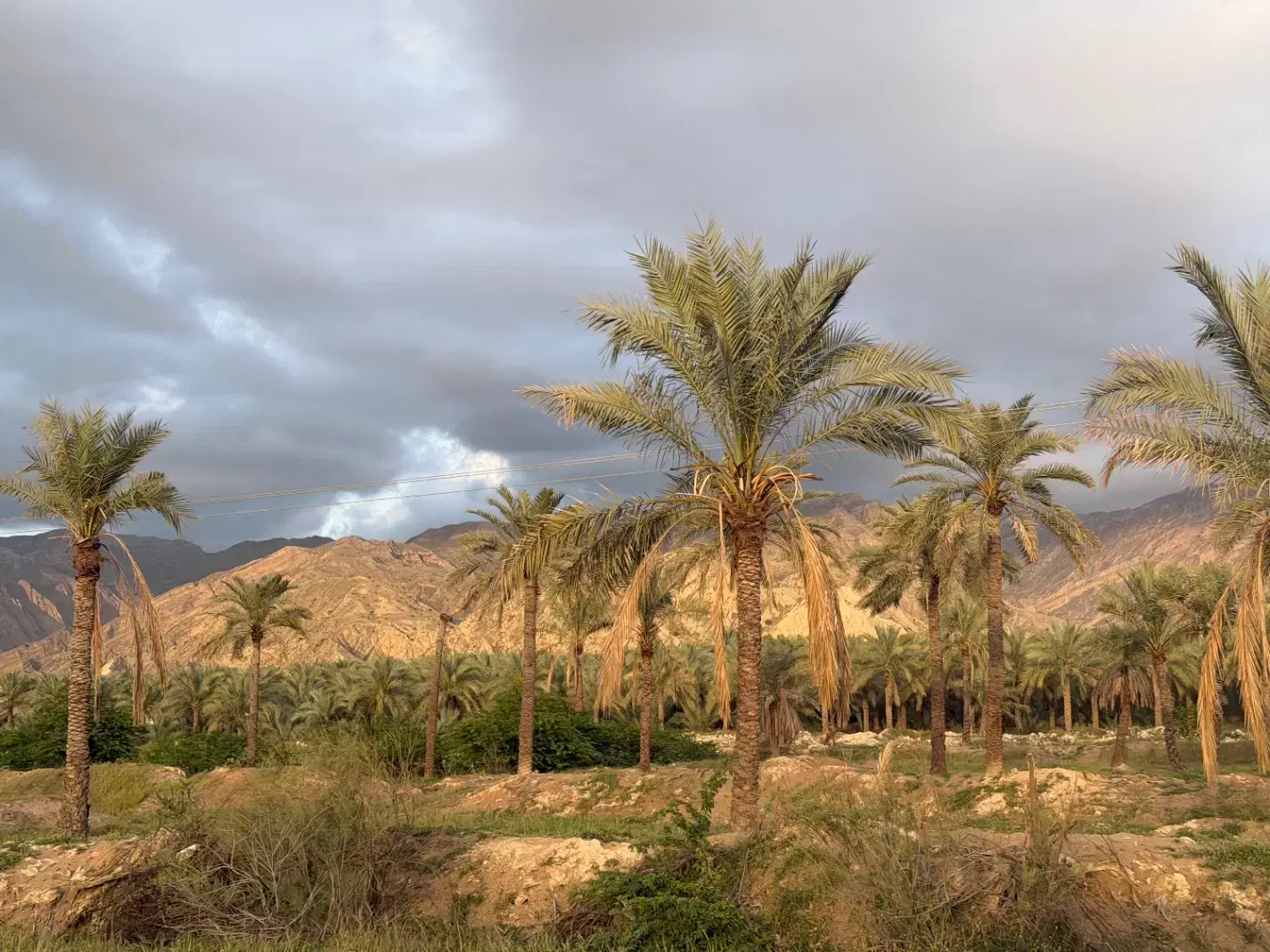 فروش زمین