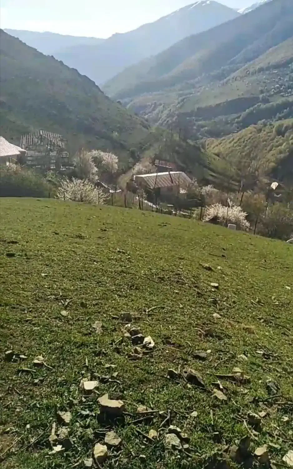 زمین  داخل بافت با قیمت مناسب