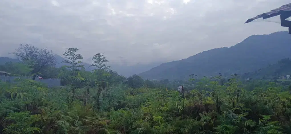 زمین مسکونی ۲۵۵ متری