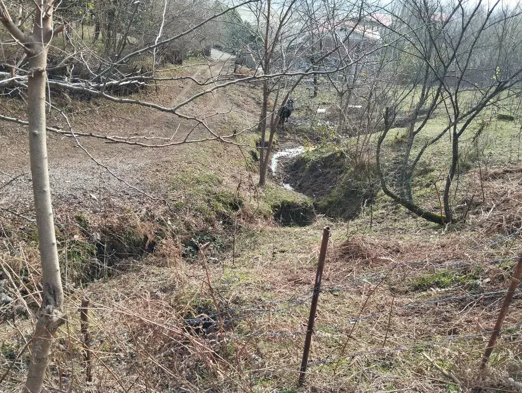 زمین مسکونی اسالم روستای نارنجدول