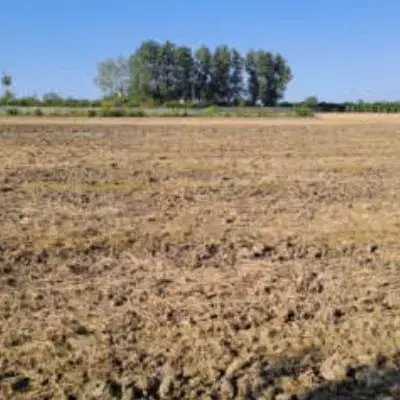 زمین مسکونی بحر خیابان شقایق