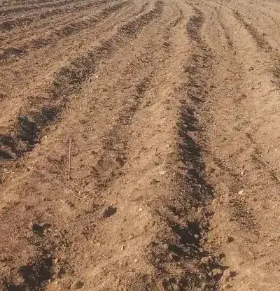 ۴۵۰متر زمین داخل طرح هادی روستای بیجانه