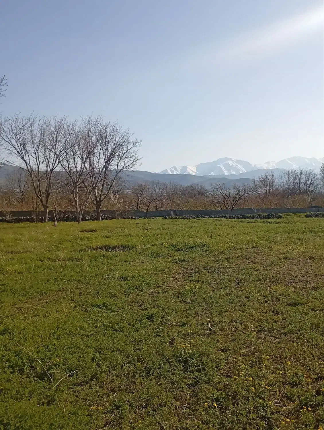 فروش زمین ویلایی