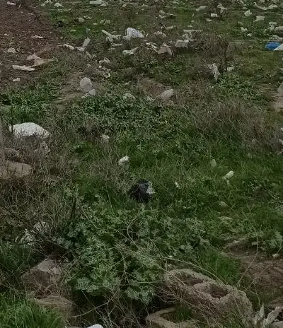زمین مسکونی سیدآباد