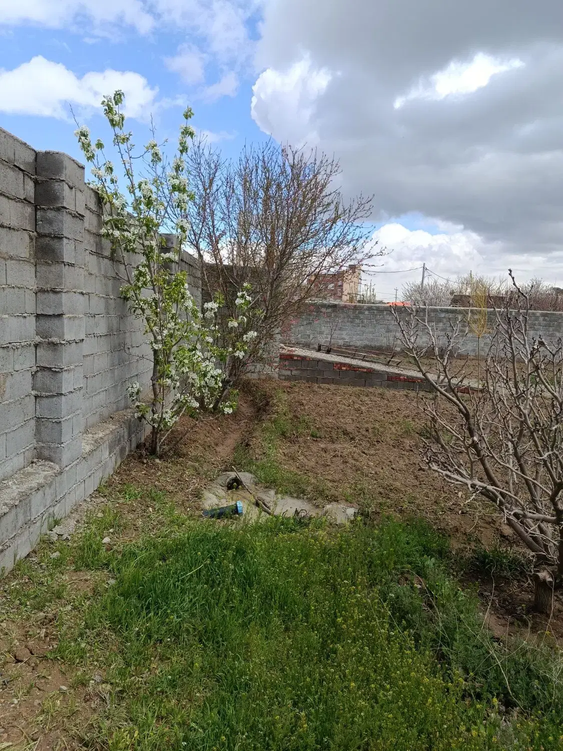 فروش زمین مناسب برای خانه باغ داخل محدوده شهرداری
