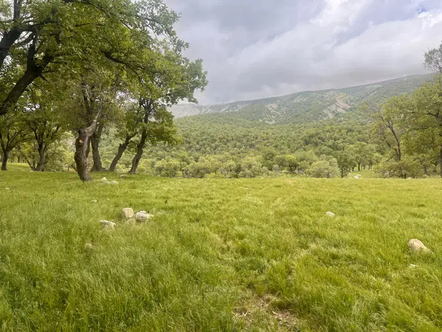 زمین جهت باغ چنارکل  خرم آباد