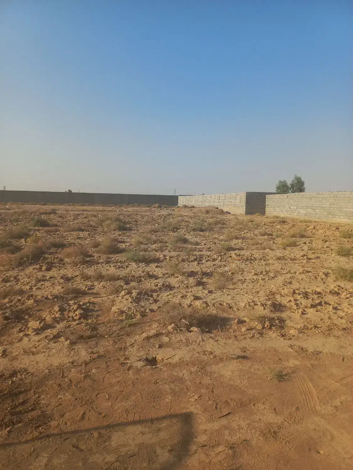 زمین باغی ، کشاورزی در حاجی آباد