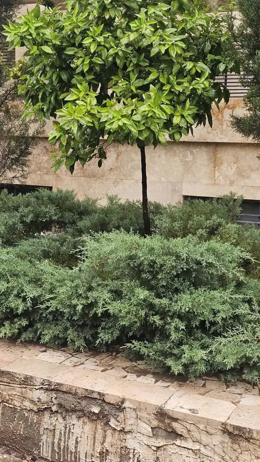 فروش ۲۸۰۰ متر باغ شهری_فاز ۲