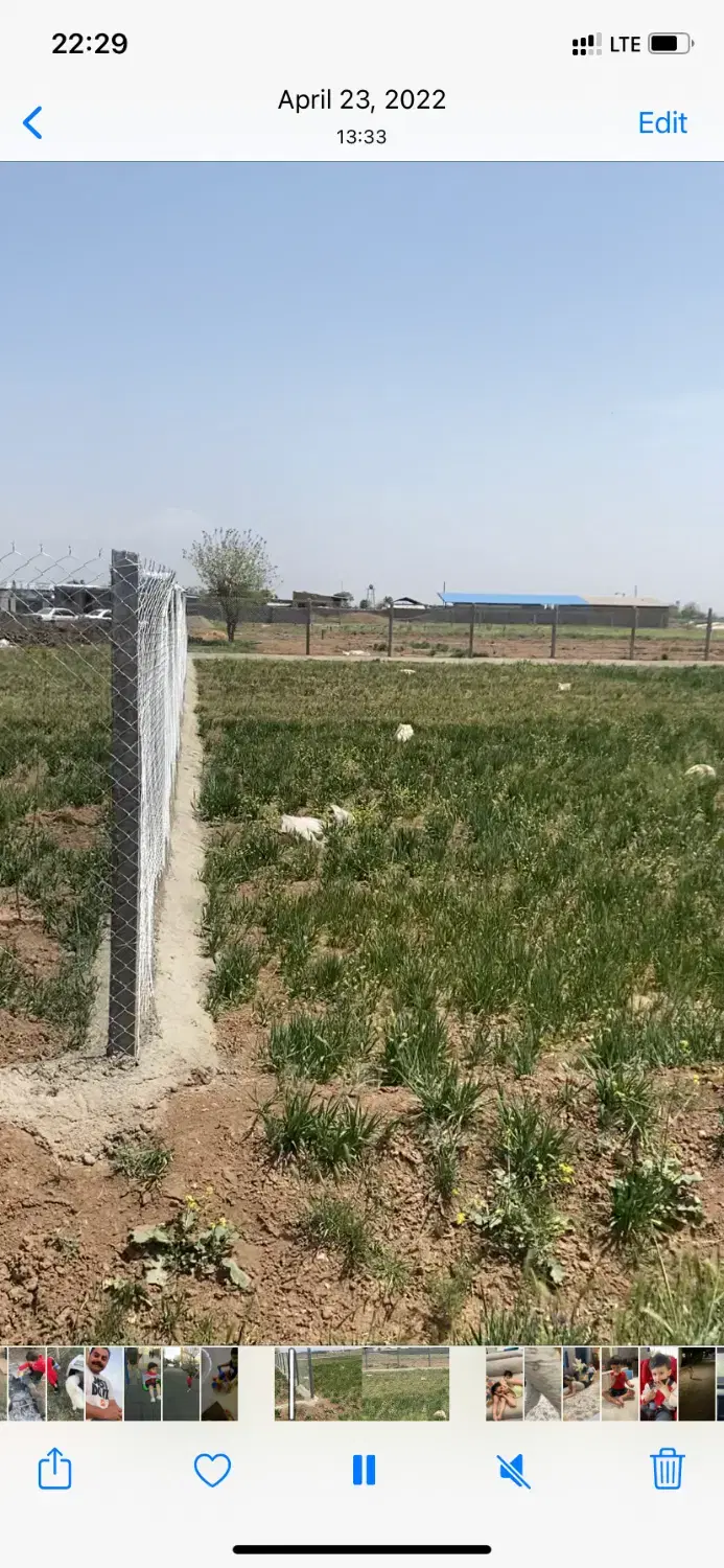 ۵۰۰ متر زمین کشاورزی نظرآباد مناسب گلخانه