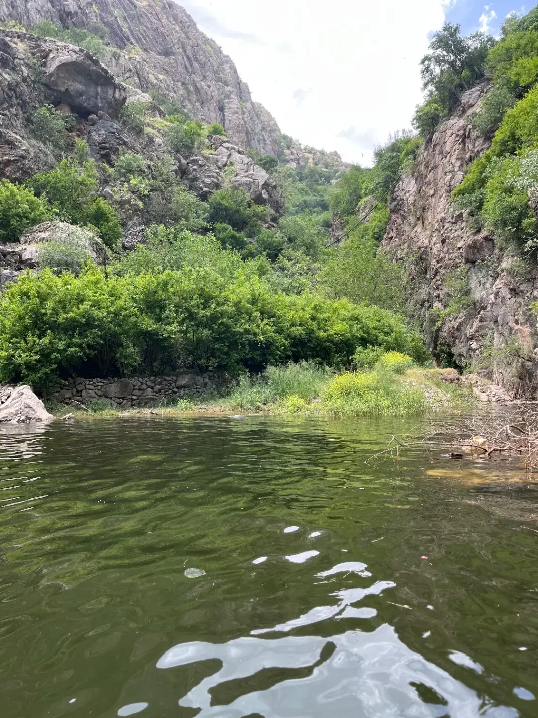 زمین باغی