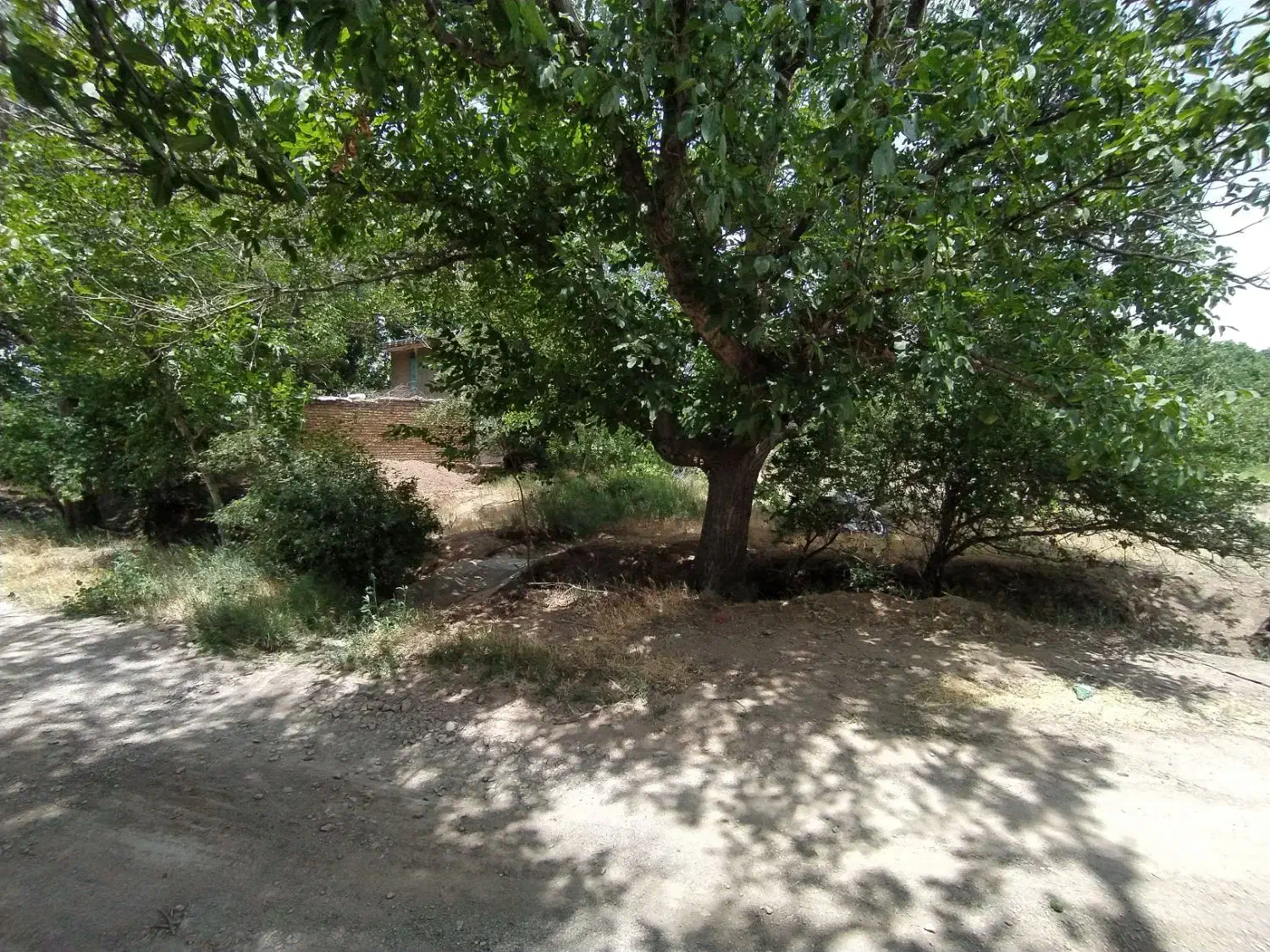 باغ زیبا با موقعیت مناسب و حق آب ارزشمند