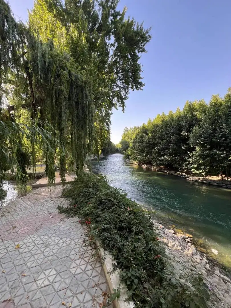 زمین تجاری 2000متری