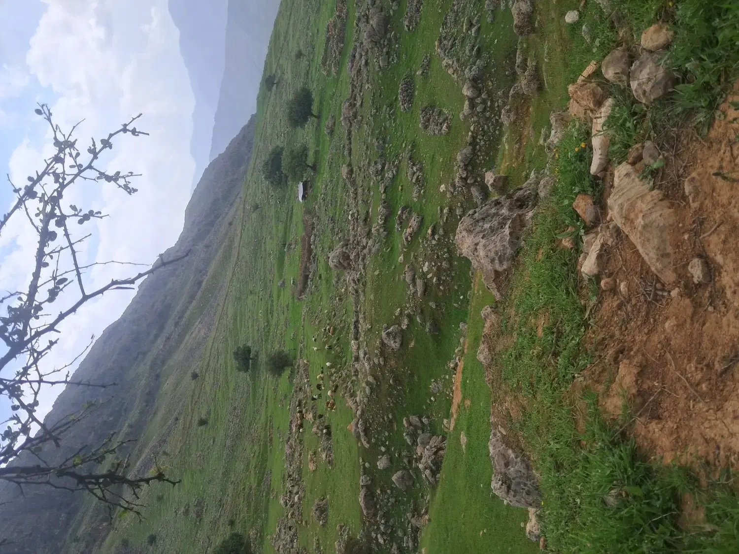 فروش زمین ۱۸۰متری