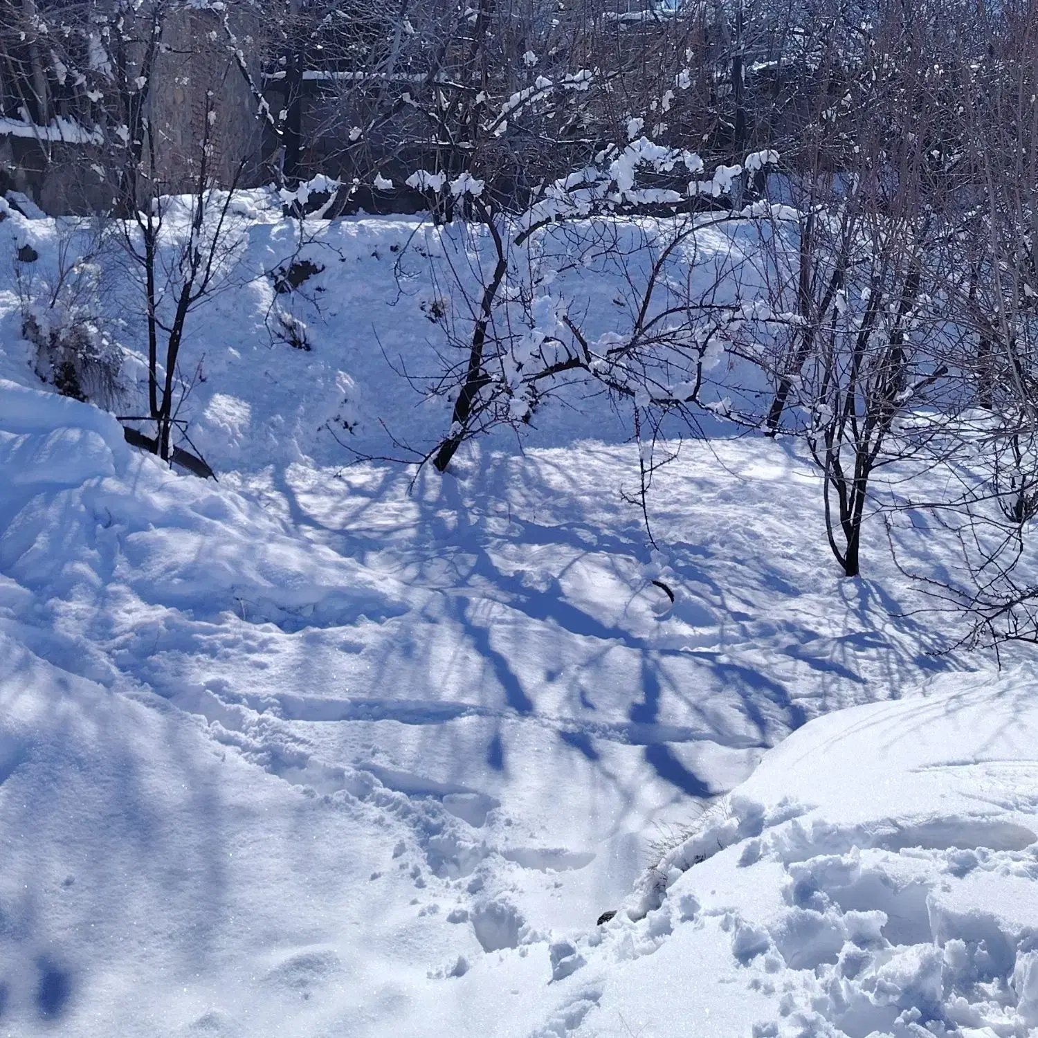 سه قواره زمین در شهرک امیر آباد
