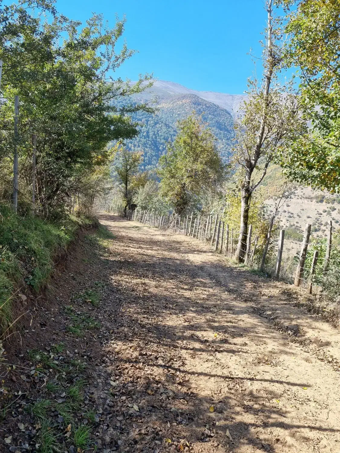 در بهشتِ جنت‌رودبار، آرمو صاحب تکه ای رویای شو